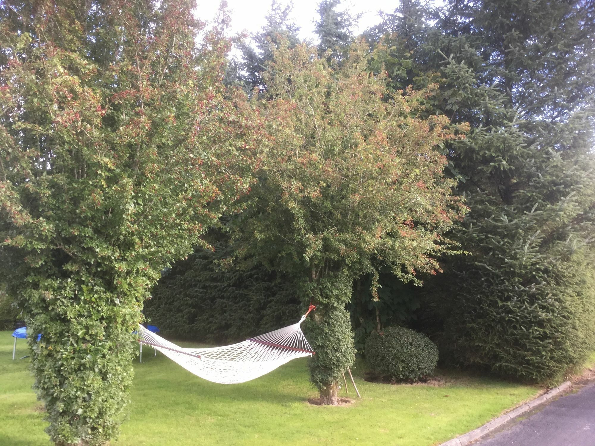 Five Oaks Panzió Londonderry Kültér fotó