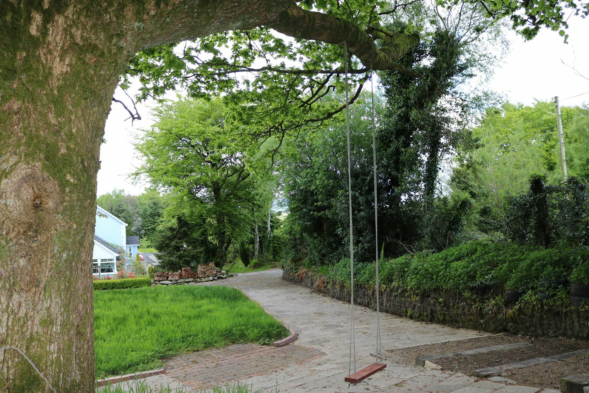 Five Oaks Panzió Londonderry Kültér fotó